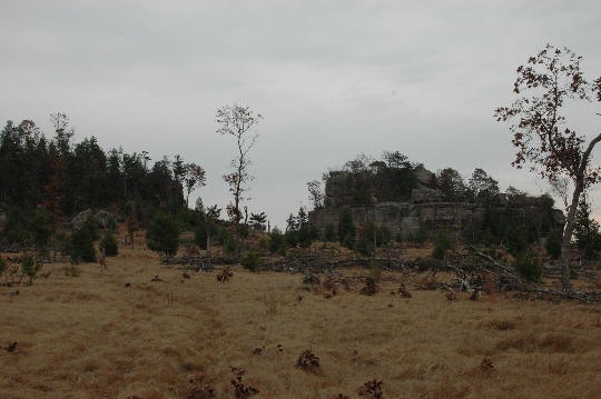 DSC_6630 DSC_6630