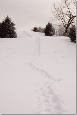 First tracks at Lapham Peak...