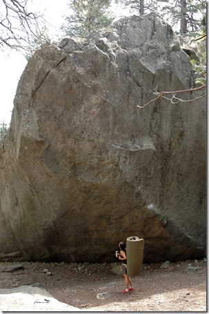 LeConte