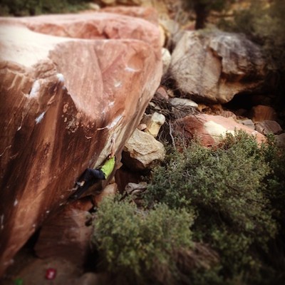 jwebb_the_nest