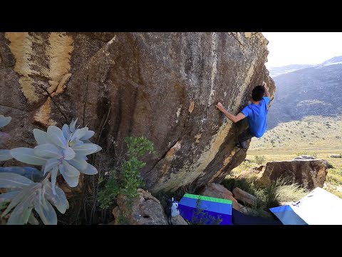 probsouthafrica